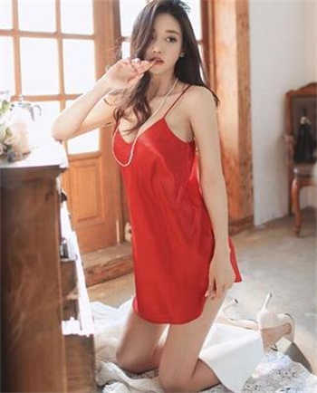互换性伴小说