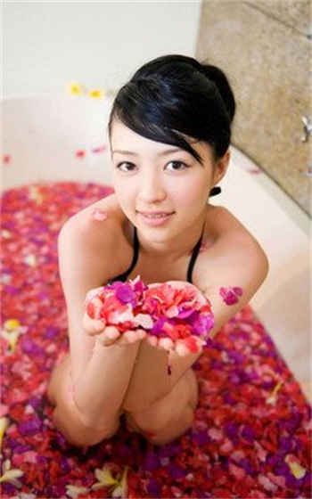 女主苏禾男主霍夜霆