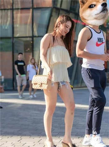 小猪视频xzsp app