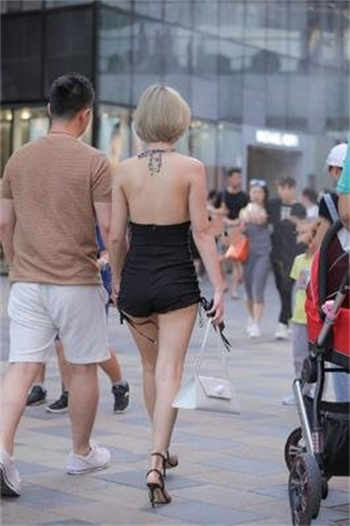 为什么磁力蚂蚁用不了了