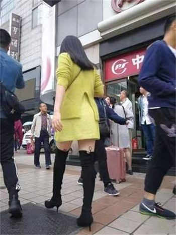 傅知恩南聿庭免费阅读